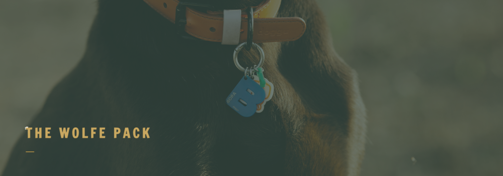 The Wolfe Pack Blog