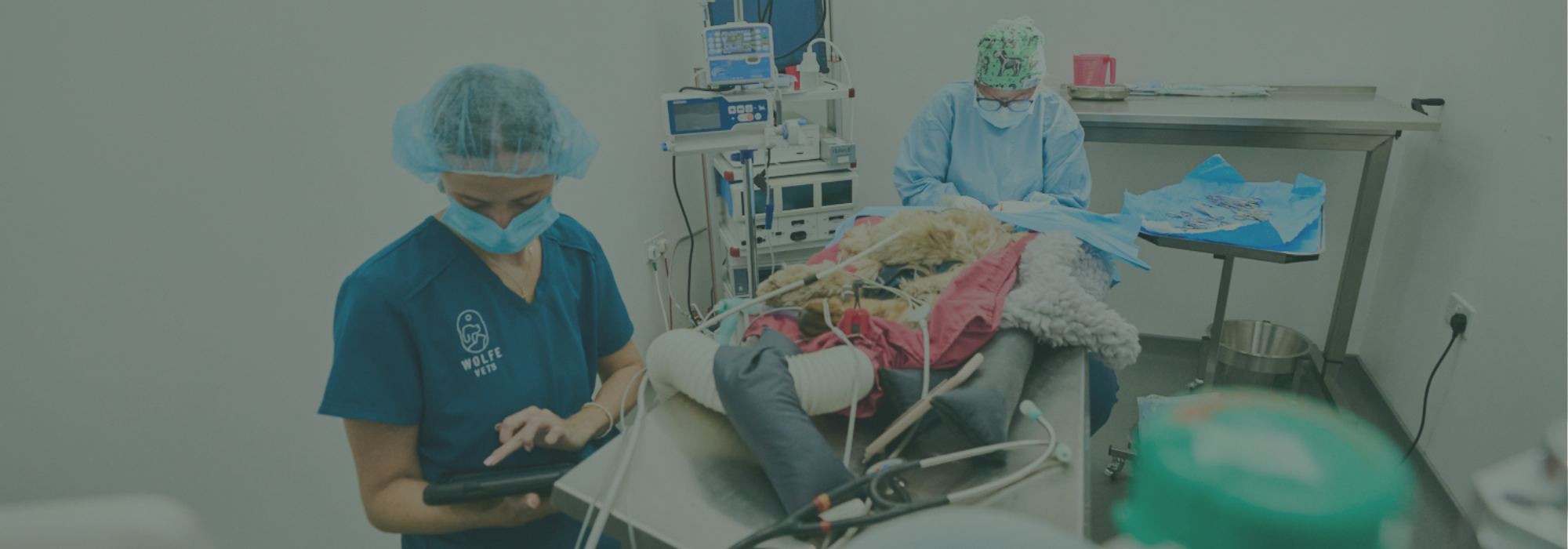 Wolfe vets emergency